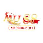 MU88 mu8888pro Profile Picture