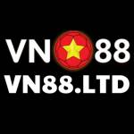 VN 88 profile picture