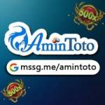 Amintoto official Profile Picture