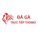 Đá Gà Trực Tiếp Thomo Hôm Nay profile picture