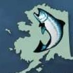 Kingfisher Premium Alaska Fishing Lodge Experience Profile Picture