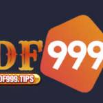 df999tips Profile Picture