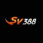 SV388casino run Profile Picture