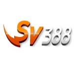 SV388 profile picture