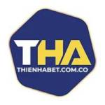 THIENHABET Profile Picture