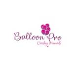 Decorators in Bangalore BalloonPro profile picture