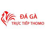 Đá Gà Trực Tiếp Thomo Hôm Nay Profile Picture