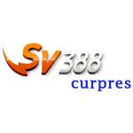 SV388 curpres Profile Picture