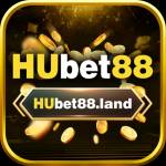 hubet88 Profile Picture