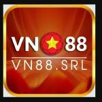 VN88 srl Profile Picture