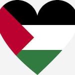 شات فلسطين Profile Picture