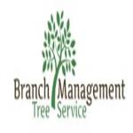 Branch Management Tree Service LLC Profile Picture