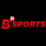 Bsports help Profile Picture