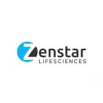 zenstarseo profile picture