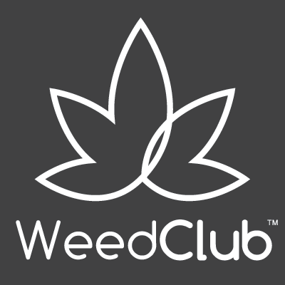 WeedClub | S. L. | A Simple Checklist for Chinese Visa Applicants in the USA