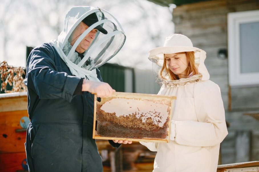 Safe and Professional Bee Removal Services in Melbourne | by Melburnians Bee Removal | Dec, 2024 | Medium