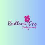 Balloon Decorators in Bangalore Profile Picture