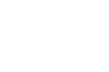 Professional Wedding Officiant