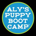 alyspuppybootcamp Profile Picture