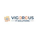 Vigorous IT Solutions Profile Picture