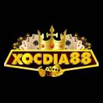 XOCDIA88 training Profile Picture