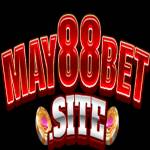 May888 Soyy profile picture