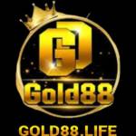 GOLD 88 Profile Picture