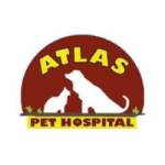 Atlas Hospital Profile Picture