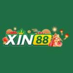 Xin88 Vnsbs Profile Picture