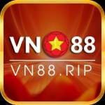 VN 88 Profile Picture