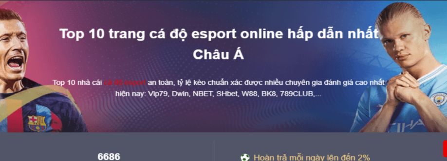 cá độ esport Cover Image