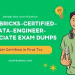 Databricks Certification Profile Picture