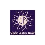 Vedic Astro Amit Profile Picture