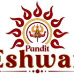 Pandit Eshwar Profile Picture