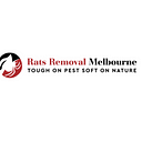 Comprehensive Rat Removal in Melbourne for Healthy and Safe Living Spaces | by Rats Removal Melbourne | Jan, 2025 | Medium