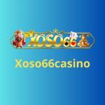 Xoso66 Casino Profile Picture