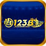 123baccountant accountant Profile Picture