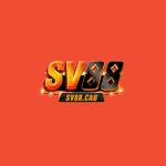 SV 88 Profile Picture