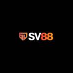 SV88 blue profile picture