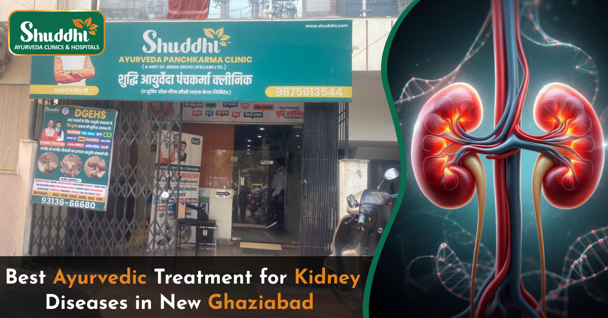 Best Ayurvedic Treatment for Kidney Diseases in New Ghaziabad