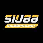 SIU88 Profile Picture