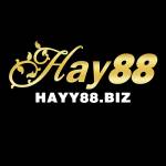 HAY88 BIZ Profile Picture