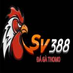 sv388gift Profile Picture