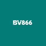 bv866 Profile Picture