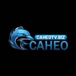 Caheotv Biz profile picture