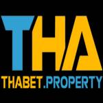 THABET property Profile Picture