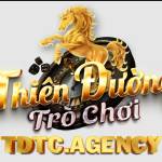 tdtc irish profile picture