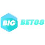 Big Bet88 profile picture