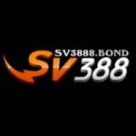 Sv3888 Bond profile picture