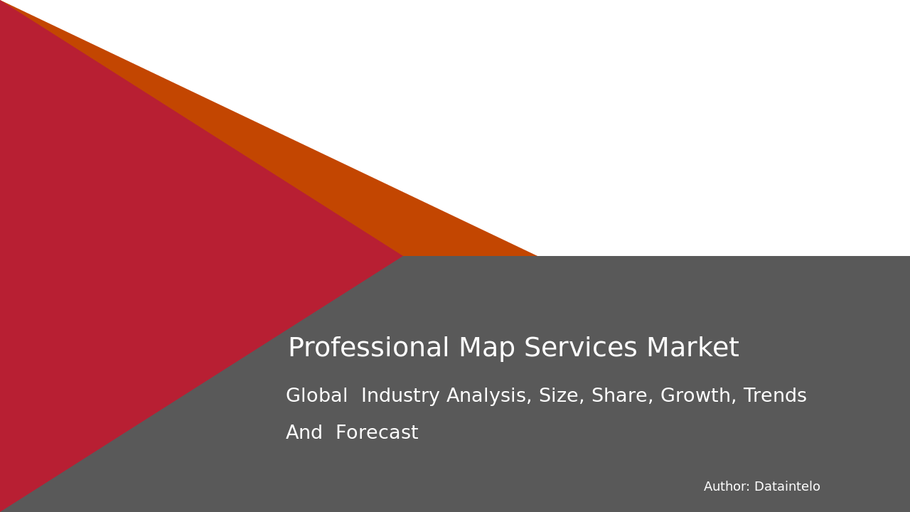 Enquiry Before Buying of Professional Map Services Market Research Report 2032